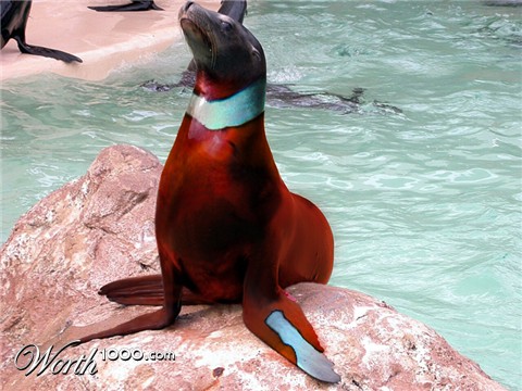 Photoshop Design by WhiteFly