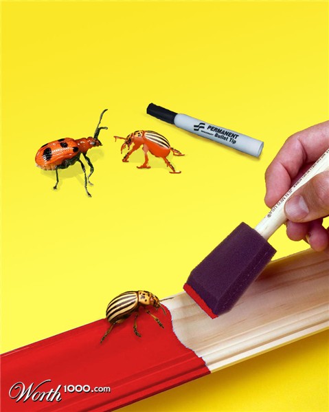 Photoshop Design by belvedere