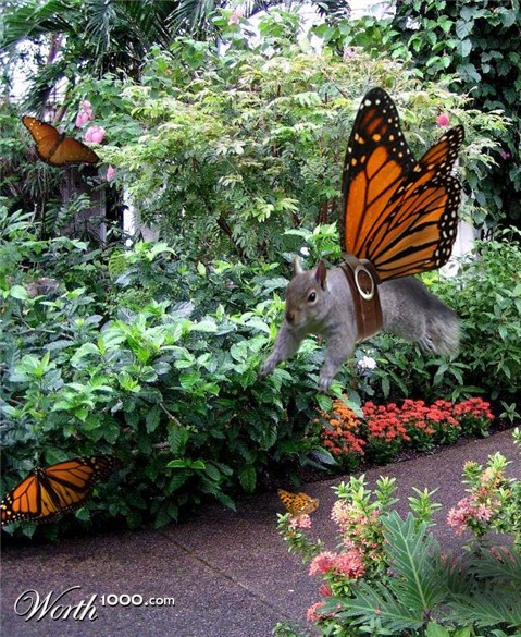 Photoshop Design by savagejon123