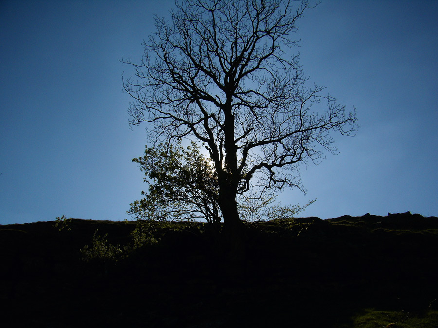 Fotografie von 0kuper0 für DesignCrowd (Community Contests) | Design #8989443