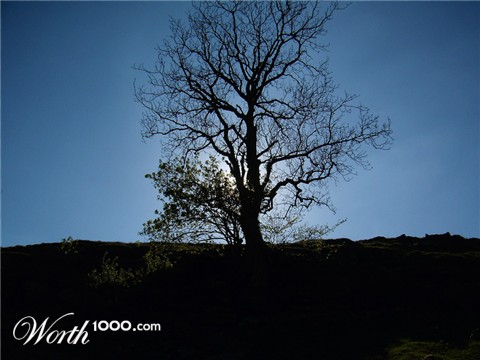 Photography by 0kuper0