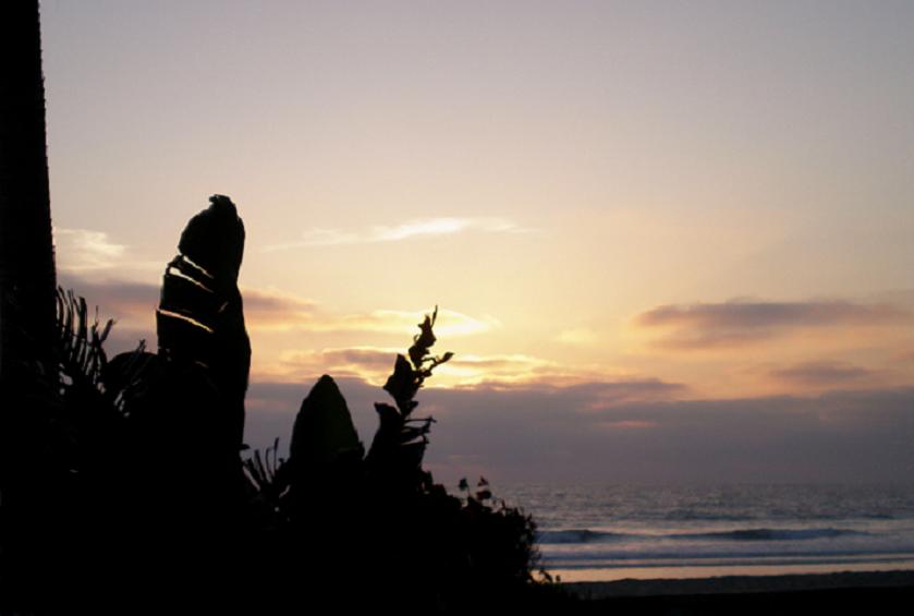 Photography by bestpicturesever for DesignCrowd (Community Contests) | Design #8989842