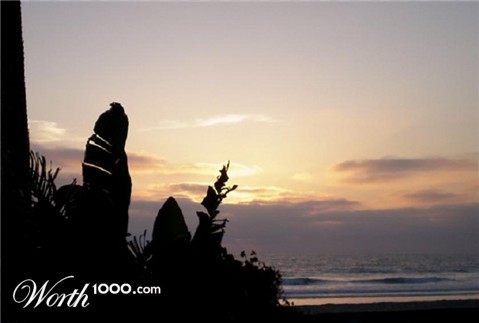 Photography by bestpicturesever