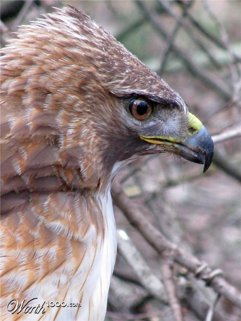 Photography by vramos11