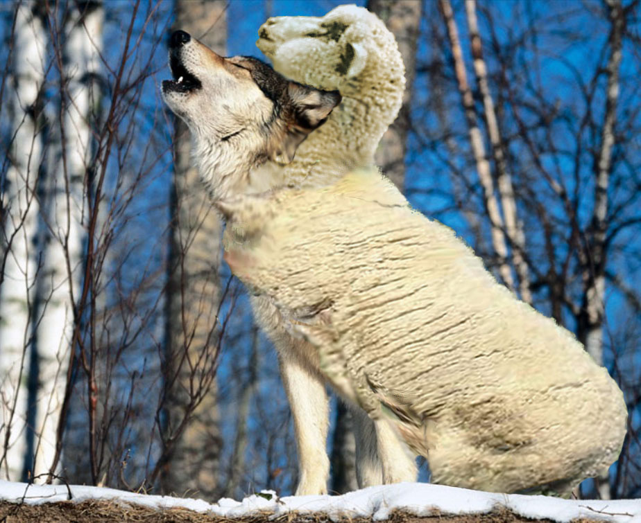 Photoshop Design by Acousticrat for DesignCrowd (Community Contests) | Design #8981518