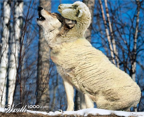 Photoshop Design by Acousticrat