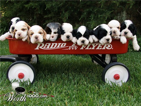 Photoshop Design by AstreaMartinez