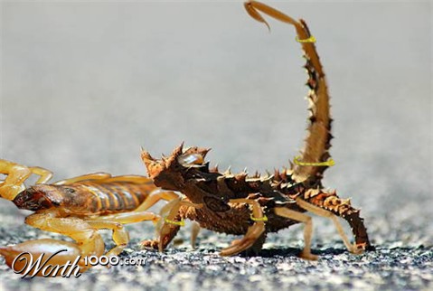 Photoshop Design by acidrain0117