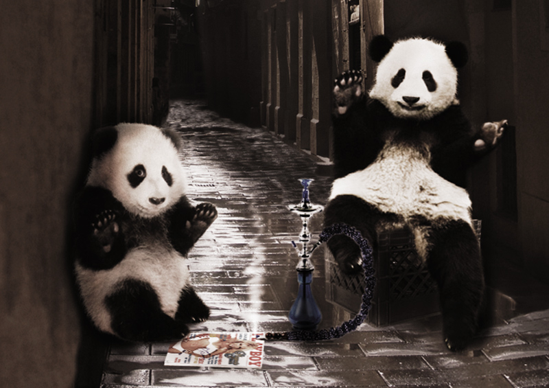 Design Photoshop par matstake pour DesignCrowd (Community Contests) | Design #8981454