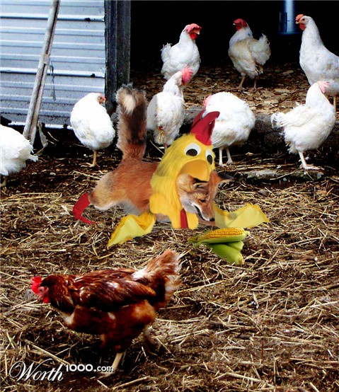 Photoshop Design by bobber1