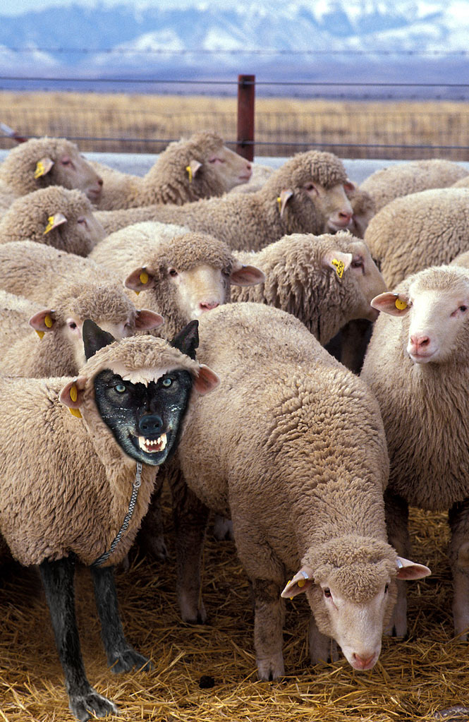 Diseño de Photoshop por Nicolaj para DesignCrowd (Community Contests) | Diseño #8981514