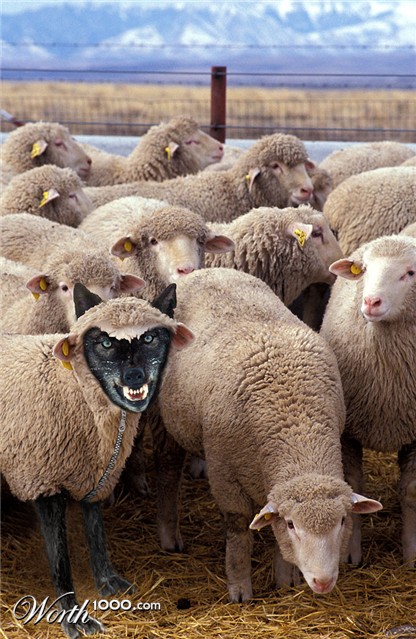 Photoshop Design by Nicolaj