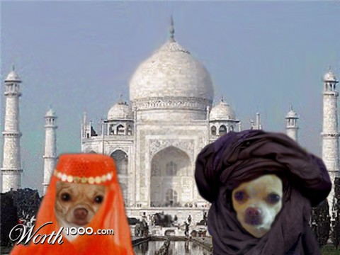Photoshop Design by Vaginarian