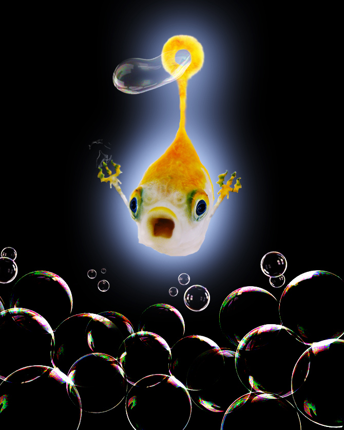 Photoshop Design by mISTAR for DesignCrowd (Community Contests) | Design #8982423