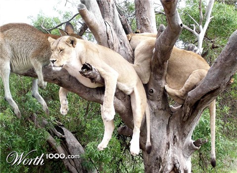 Photoshop Design by kwize53