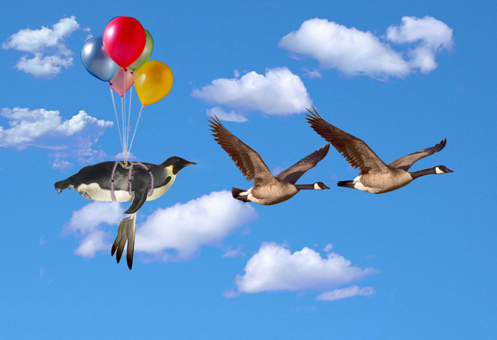 Photoshop Design by blank10123 for DesignCrowd (Community Contests) | Design #8981545