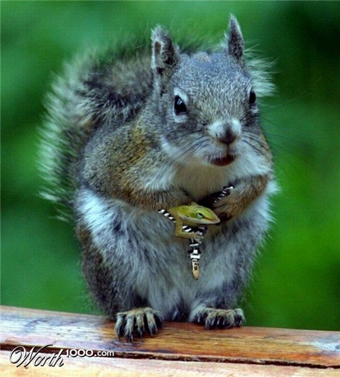 Photoshop Design by LadyHawk771