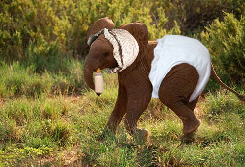 Photoshop Design by PeterAAAWelch for DesignCrowd (Community Contests) | Design #8981555