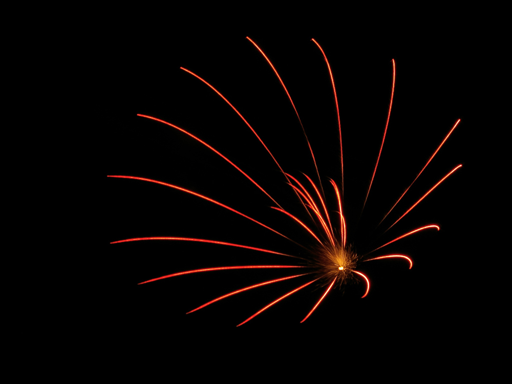 Photographie par GoldenWreckedAngle pour DesignCrowd (Community Contests) | Design #8981191