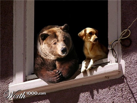 Photoshop Design by Ash23Ash