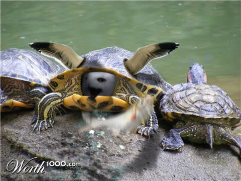 Photoshop Design by mattella