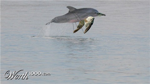 Photoshop Design by diveclass101