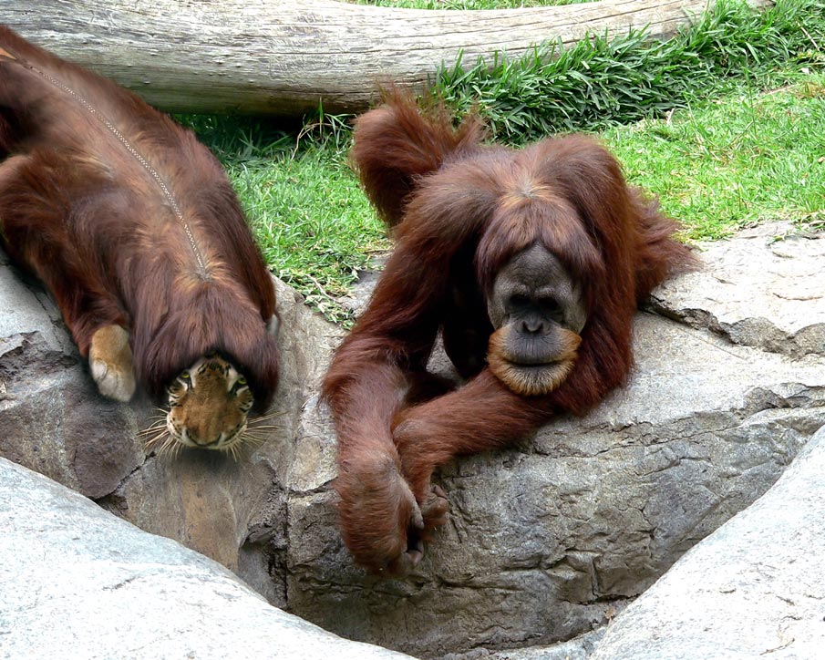 Diseño de Photoshop por John93036 para DesignCrowd (Community Contests) | Diseño #8981579