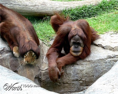 Photoshop Design by John93036