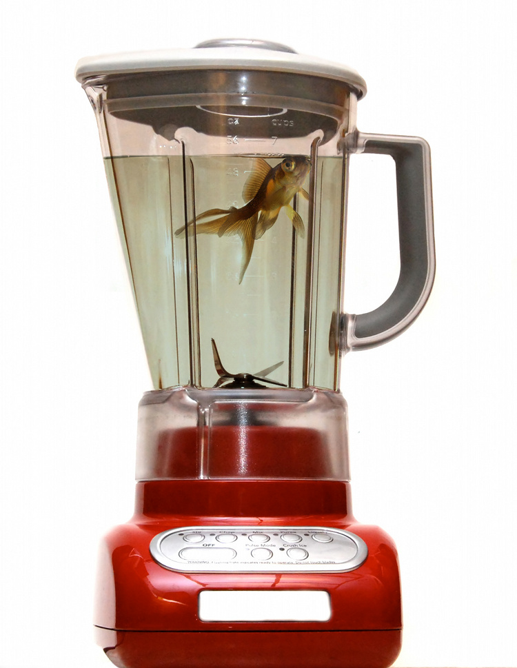 Photoshop Design by doehlman for DesignCrowd (Community Contests) | Design #8987105