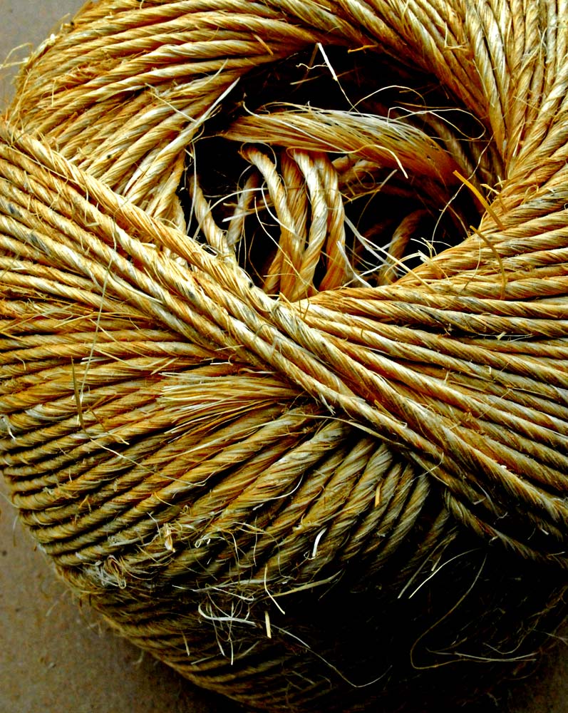 Photography by vramos11 for DesignCrowd (Community Contests) | Design #8984628