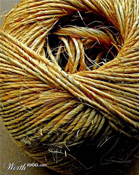 Photography by vramos11