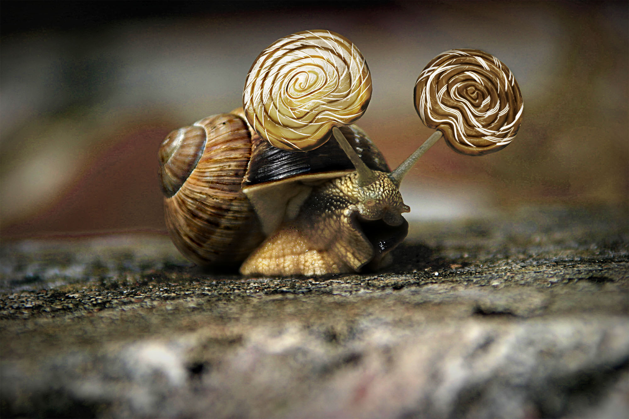 Diseño de Photoshop por Ronschk para DesignCrowd (Community Contests) | Diseño #8987823