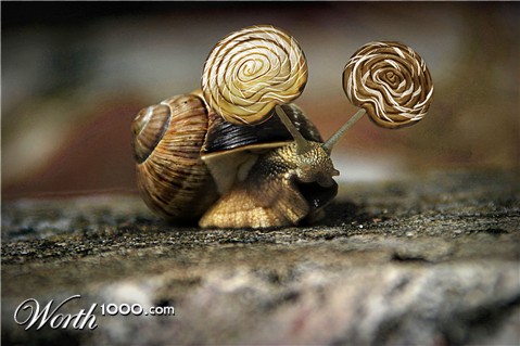 Photoshop Design by Ronschk