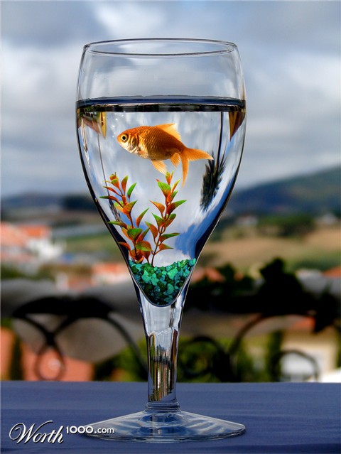 Photoshop Design by barilyn