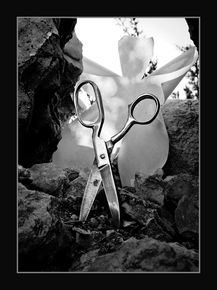 Photographie par GoldenWreckedAngle pour DesignCrowd (Community Contests) | Design #8983288