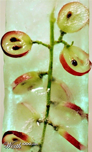 Photography by Isabella2006