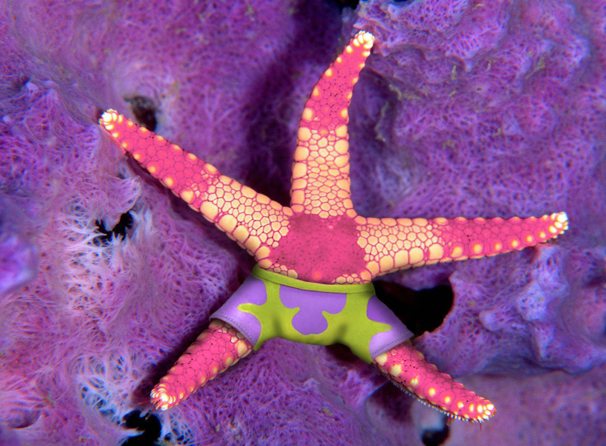 Photoshop Design by Artifakts for DesignCrowd (Community Contests) | Design #8982055