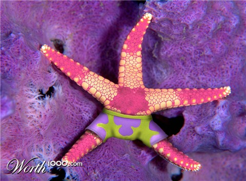 Photoshop Design by Artifakts