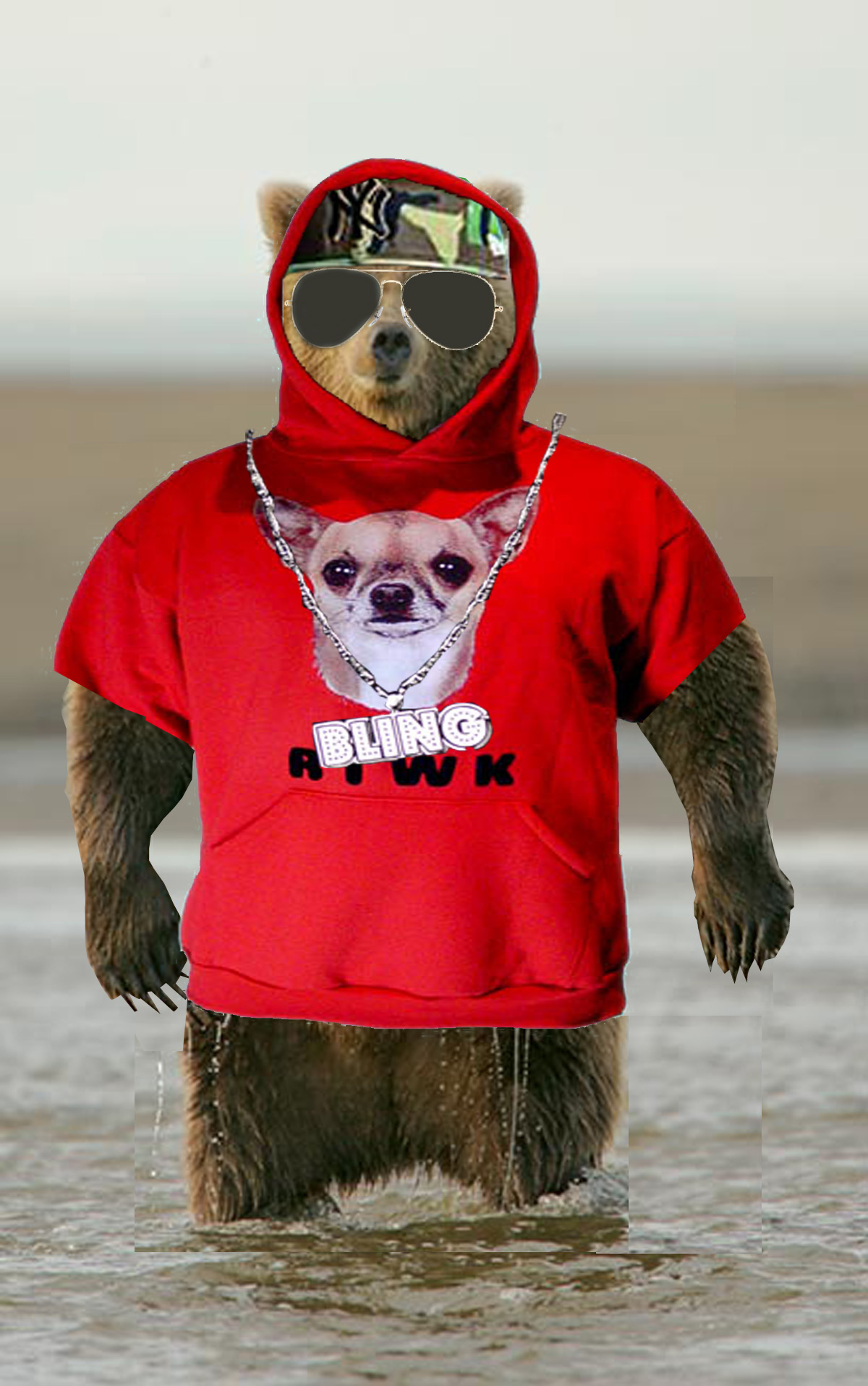 Photoshop Design by alesiphoto for DesignCrowd (Community Contests) | Design #8982072