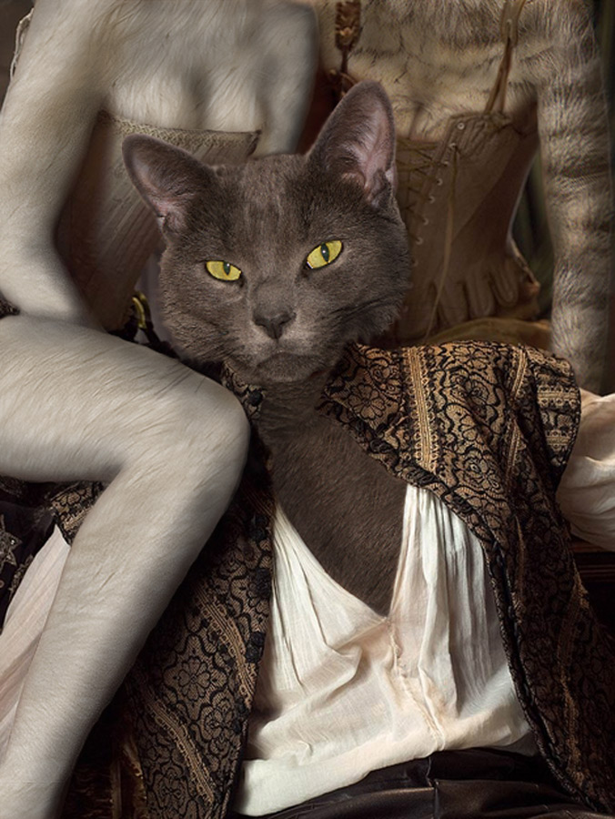 Diseño de Photoshop por copycatfish para DesignCrowd (Community Contests) | Diseño #8982067