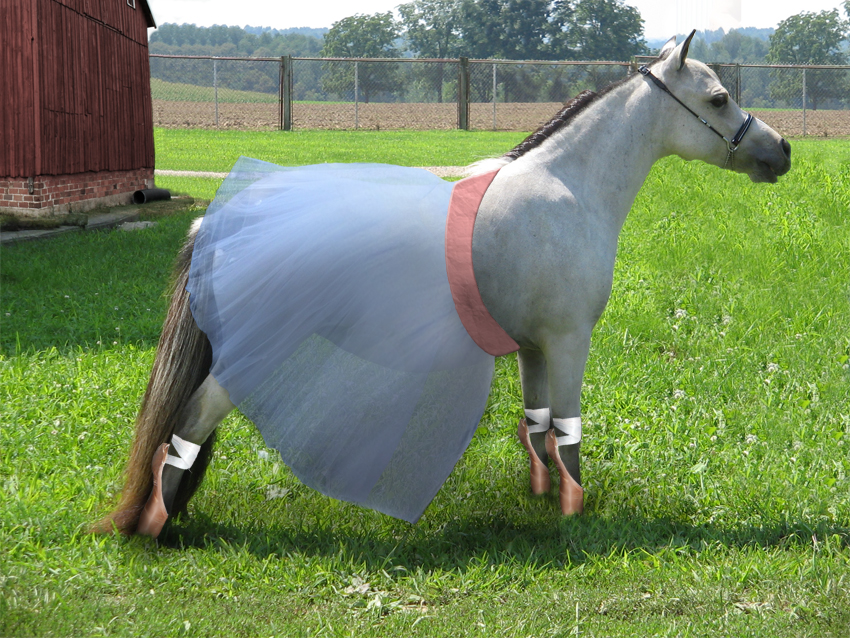 Design Photoshop par lucimine pour DesignCrowd (Community Contests) | Design #8982078