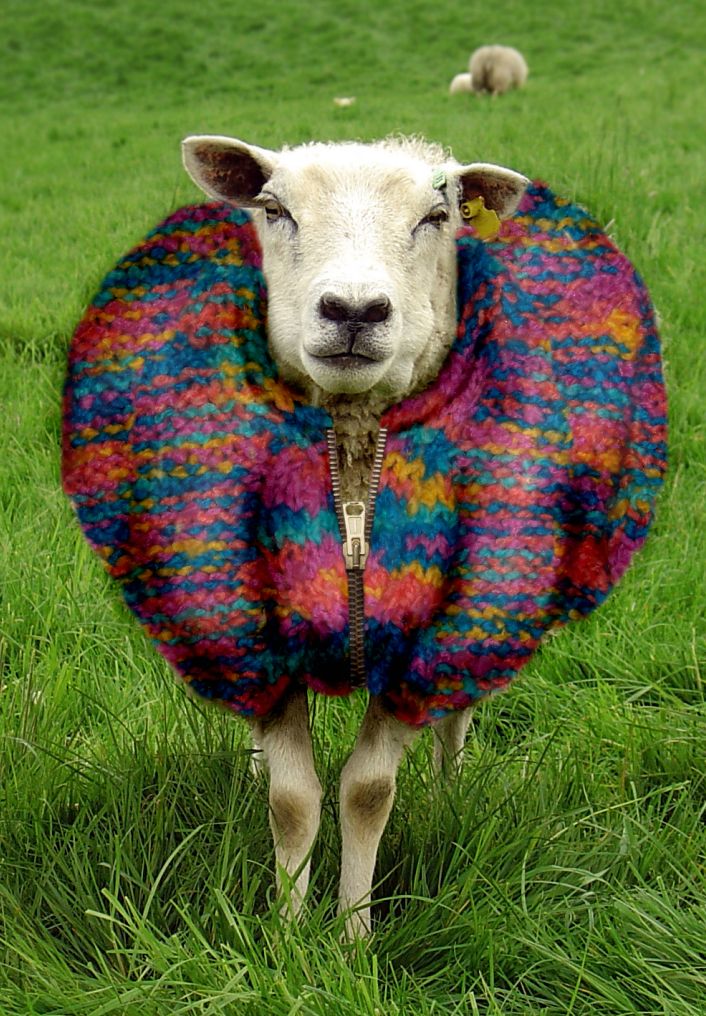 Photoshop Design by jdbeckers for DesignCrowd (Community Contests) | Design #8982089