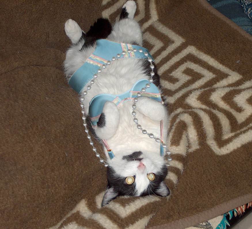 Photoshop Design by PJcub99 for DesignCrowd (Community Contests) | Design #8982110