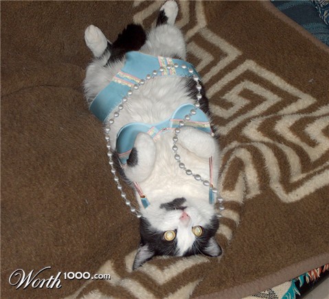 Photoshop Design by PJcub99