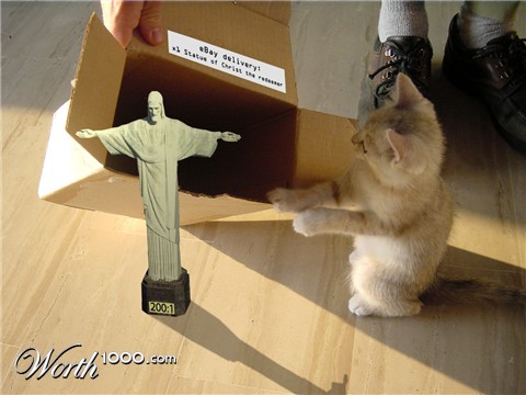 Photoshop Design by g0pher