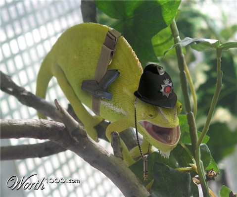 Photoshop Design by deerreaper