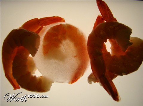 Photography by SallySmyth