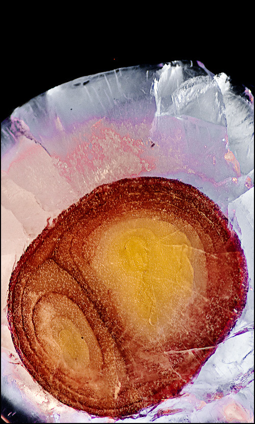 Fotografie von Flimzer für DesignCrowd (Community Contests) | Design #8985398