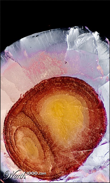 Photography by Flimzer