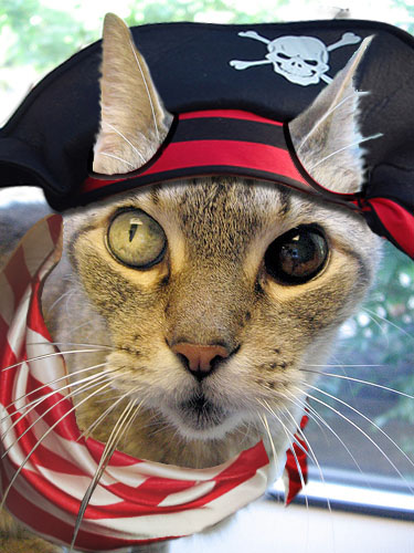 Photoshop Design by amalmansy for DesignCrowd (Community Contests) | Design #8982183